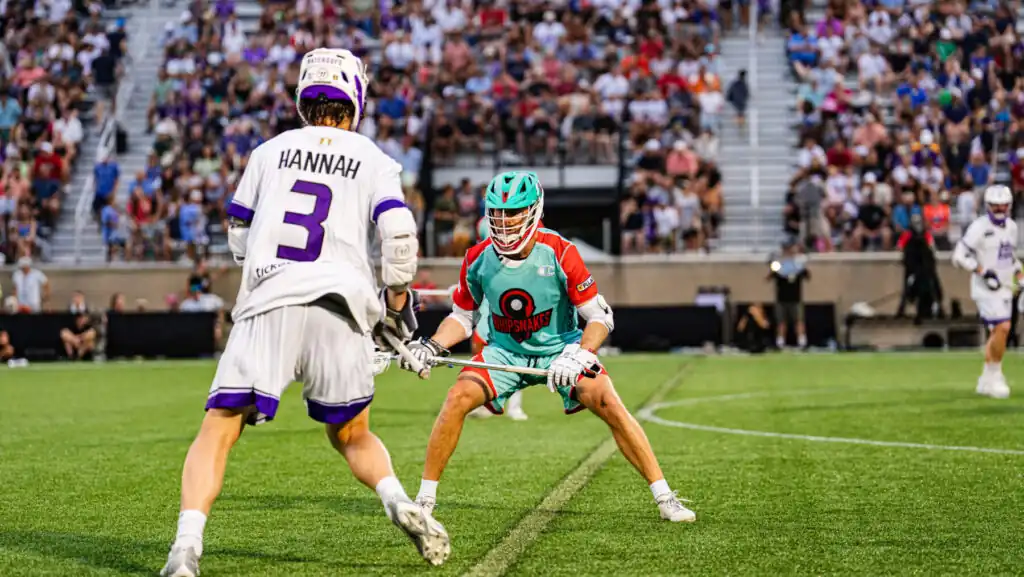 Waterdogs Whipsnakes Preview